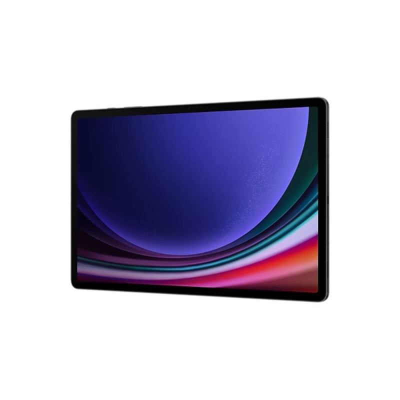 SAMSUNG | SM-X710NZADCOO | Tablet Samsung Galaxy Tab S9 WIFI, 11.00” 8GB/128GB,