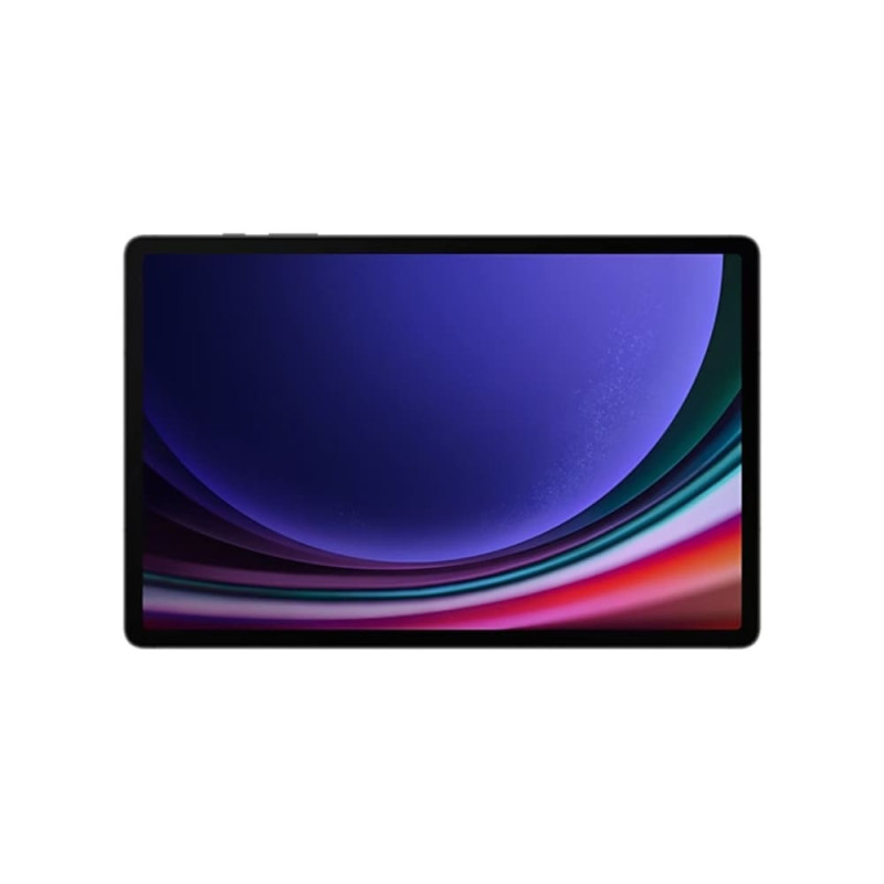 SAMSUNG | SM-X710NZADCOO | Tablet Samsung Galaxy Tab S9 WIFI, 11.00” 8GB/128GB,