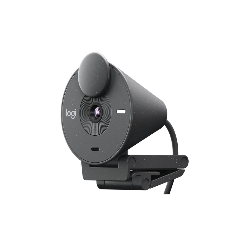 LOGITECH | 960001413 | CAMARA BRIO 300