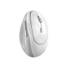 GENIUS | 31030041401 | MOUSE INALAMBRICO 8350 WHITE