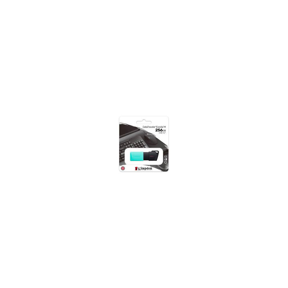 KINGSTON | DTXM256GB | Usb Kingston 256GB 32 Gen1 DataTraveler Exodia M Black 