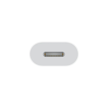 APPLE | MUQX3AMA | Adaptador de USBC a conector