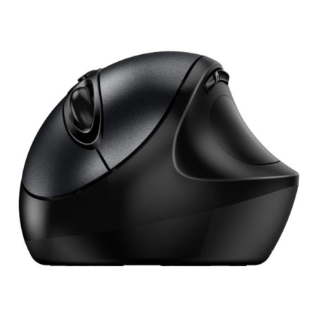 GENIUS | 31030037400 | Mouse GENIUS ptico Ergo 8300S