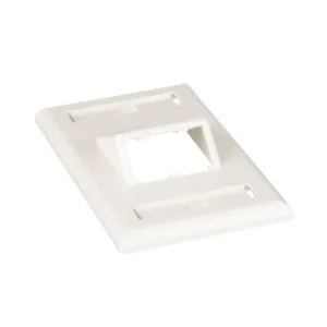 PANDUIT CFPSL2IWY Placa de Pared Vertical Clásica, Salida Para 2 Puertos Mini-Com Inclinados, Con Espacios Para Etiquetas, Color Blanco Mate