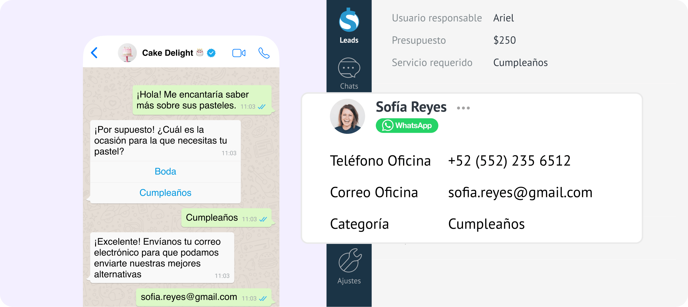Automatización WhatsApp