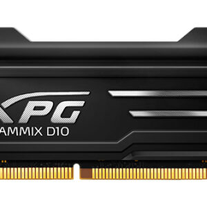 XPG GAMMIX D10 RAM module with a black heatsink and gold connector pins shown from the side