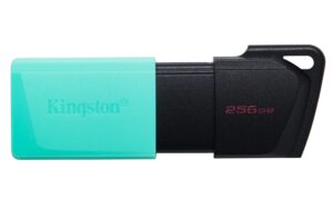 Memoria USB Kingston Technology DataTraveler Exodia M unidad flash USB 256 GB USB tipo A 3.2 Gen 1 (3.1 Gen 1) Negro, Turquesa