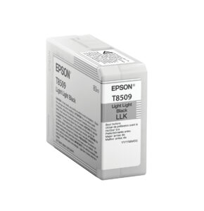 Cartucho de Tinta Epson T850900 cartucho de tinta 1 pieza(s) Original Negro claro claro