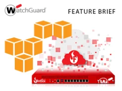 WatchGuard Servicio IPS para Firebox Cloud Medium · 1 año